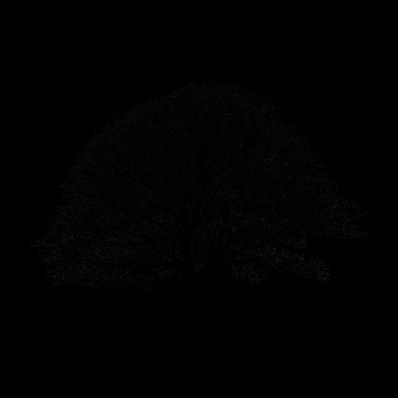 Shadow_no logo