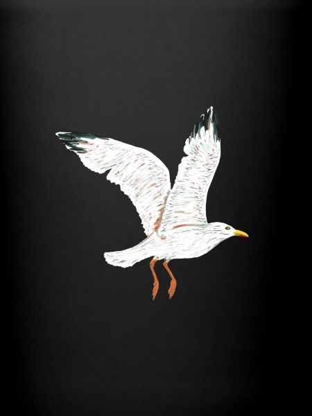 gull