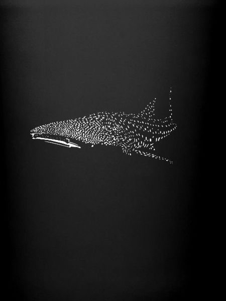 Requin-baleine