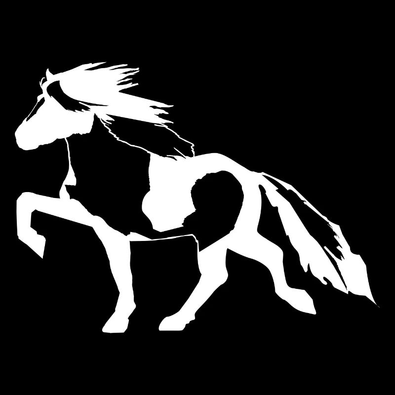 Edles Islandpferd Schecke gefleckter Isländer