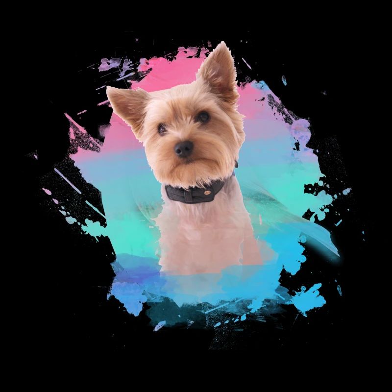 yorkshire terrier, chien, graffiti, terrier, coloré