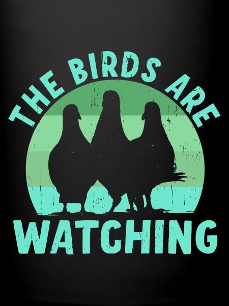 Les oiseaux observent