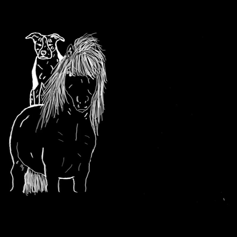 Cheval et chien
