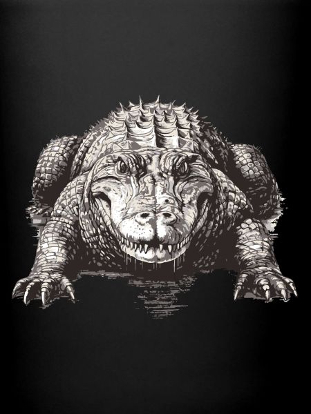 Aligator australien