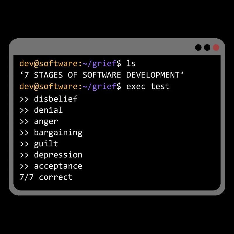 7 Stages of Software Development (Grief) - Console