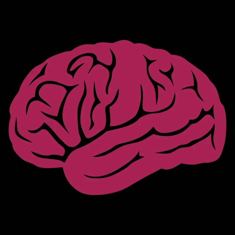 brain brain 14