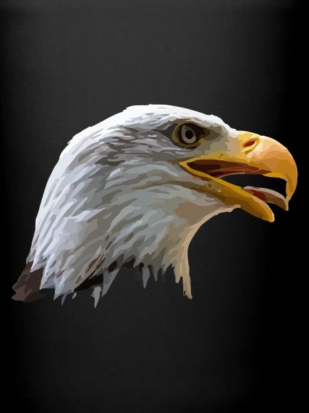 bald eagle