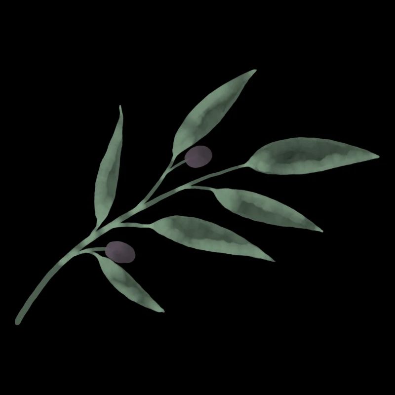 Olive Branch