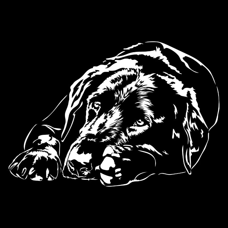 LABRADOR Retriever Labbi Hunde Portrait Wilsigns