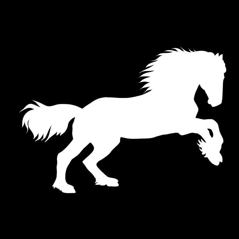 Puissance des chevaux