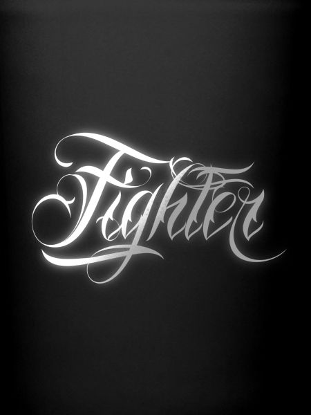 Fighter