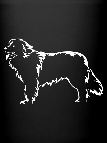 Newfoundland "Black Edition"