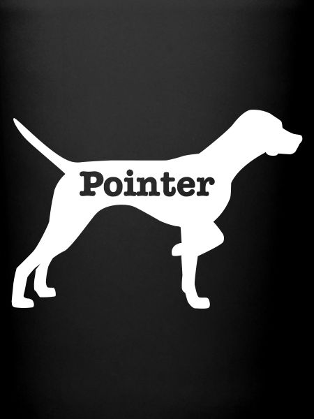 Pointeur