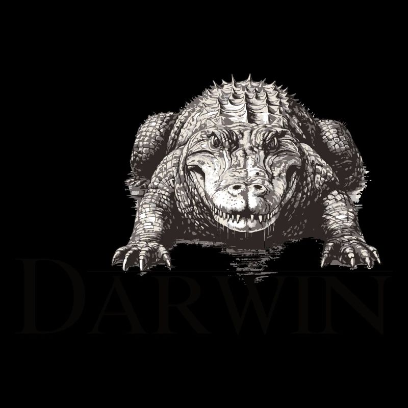 Darwin Aligator