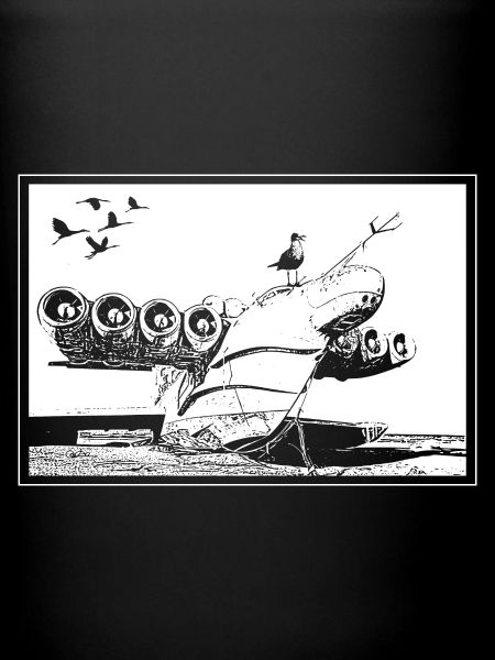 Epave d'avion