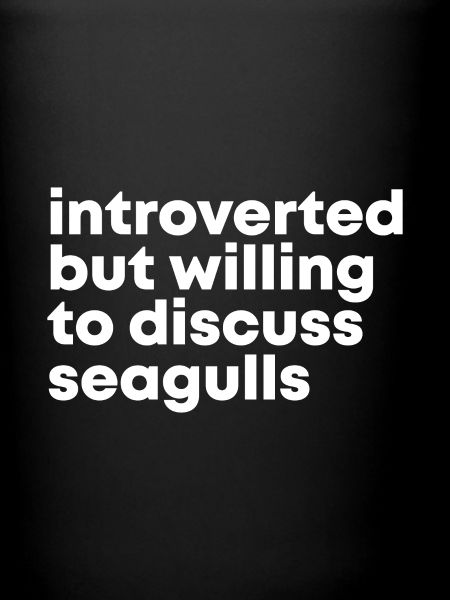 Seagull Seagull Seagull