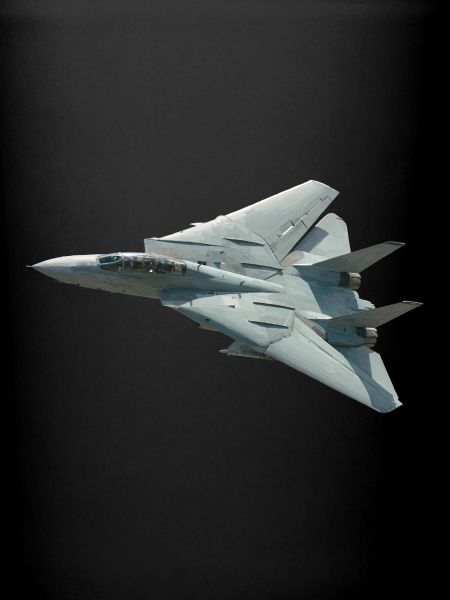 F-14 Tomcat