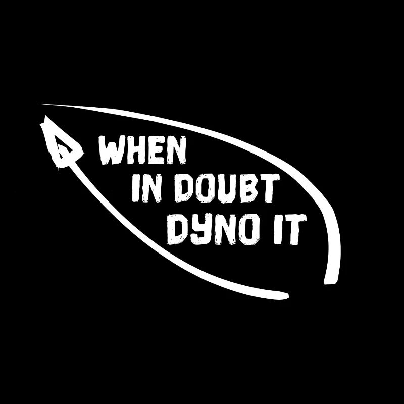 WHEN IN DOUBT DYNO IT Klettern bouldern Kletterer