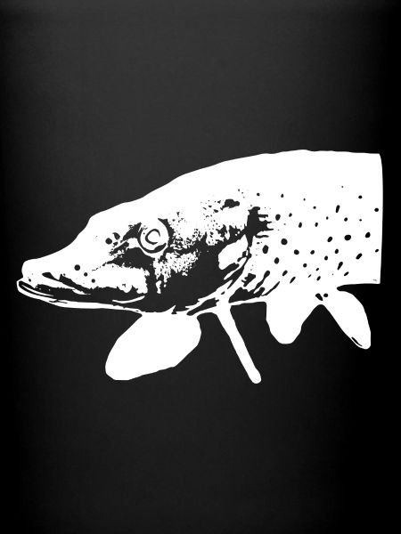 Brochet