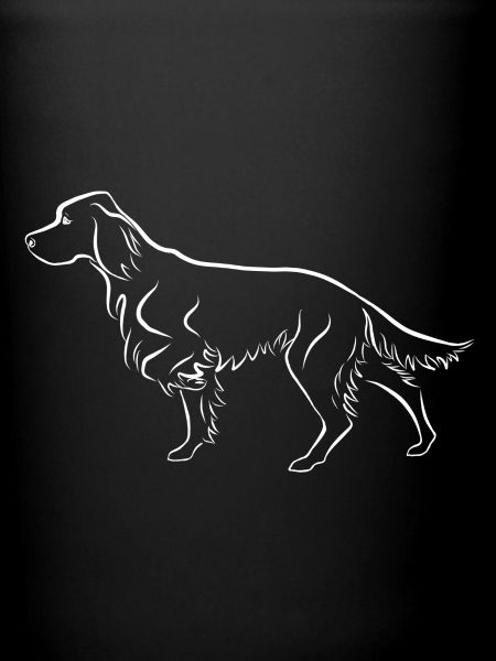 Setter ci-dessus