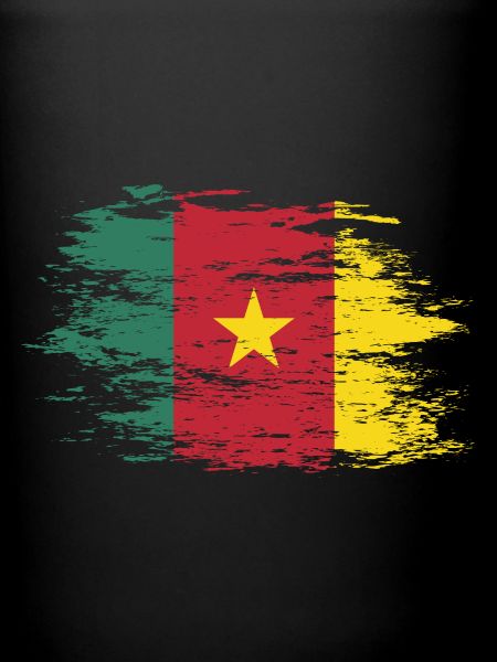 Cameroon flag used
