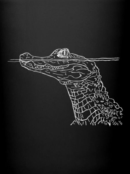 Crocodile Blanc