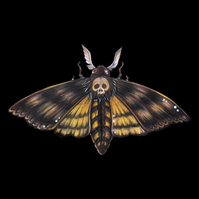 Schädel Totenkopf Motte düster Gothic Goth