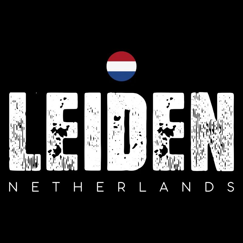 Impression en détresse de la ville de Leiden