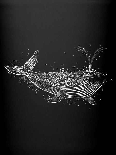 Une baleine blanche