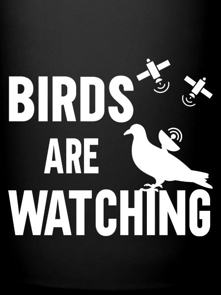 Les oiseaux observent