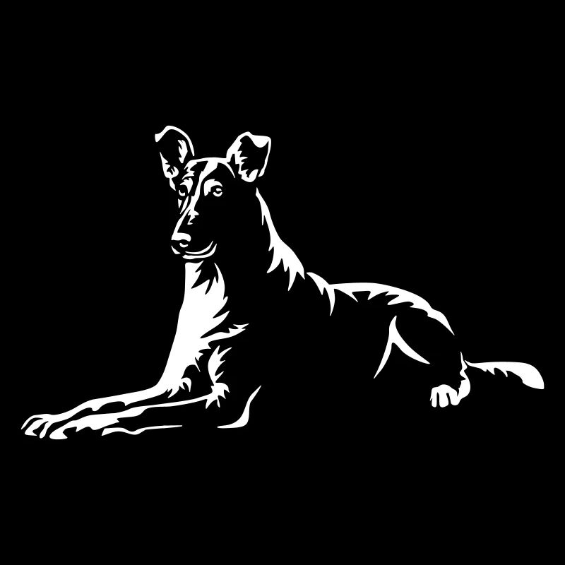 Collie « Édition Noire »