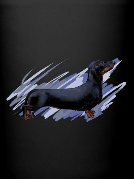 Dackel
