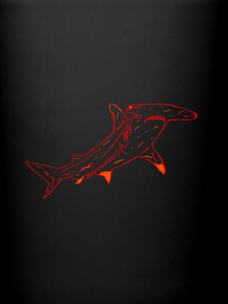 Hammerhead