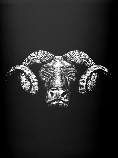 Minotaur / Head