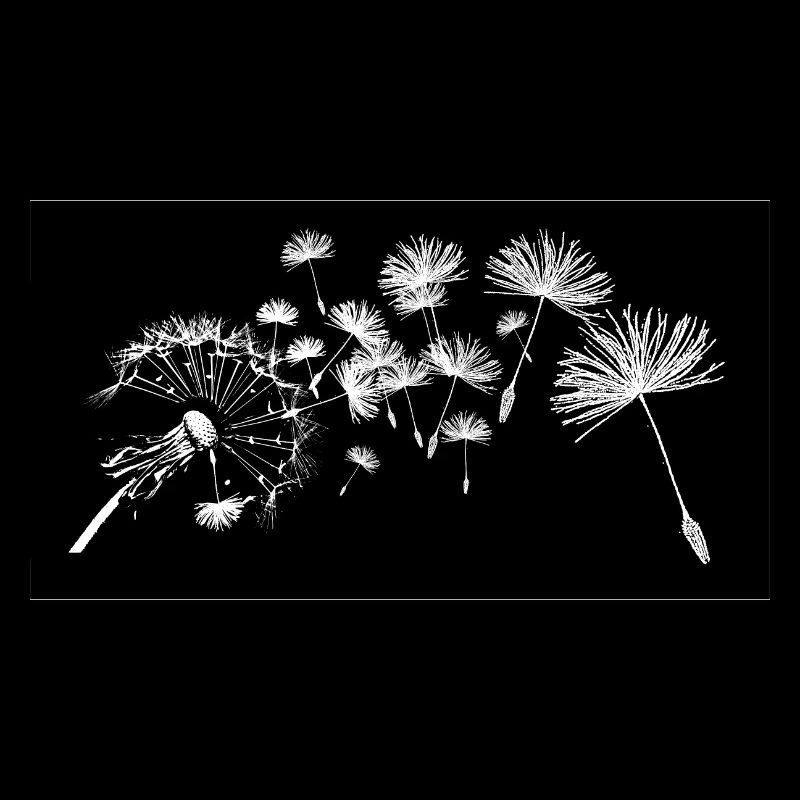 Fleurs de pissenlit commun