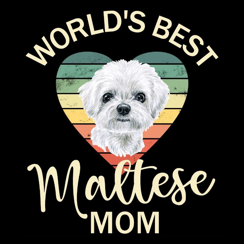 Chien maltais