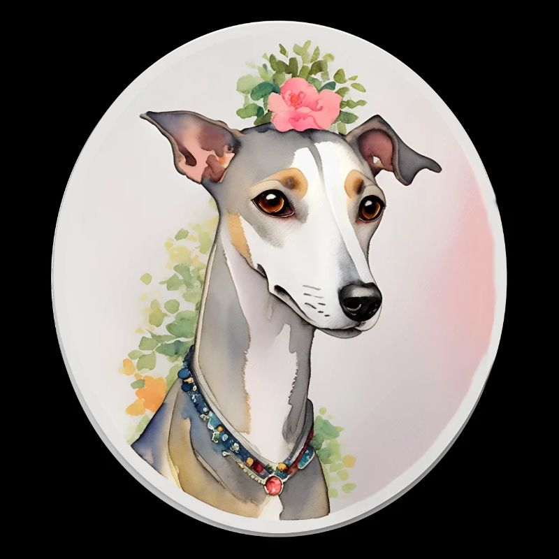 Whippet