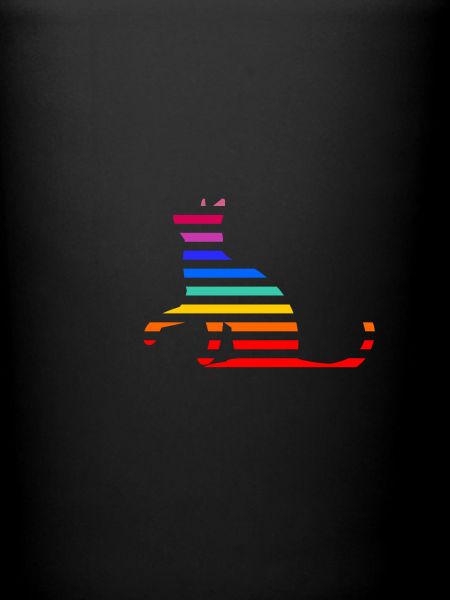 Rainbow Cat