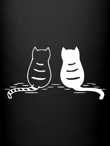 chats assis