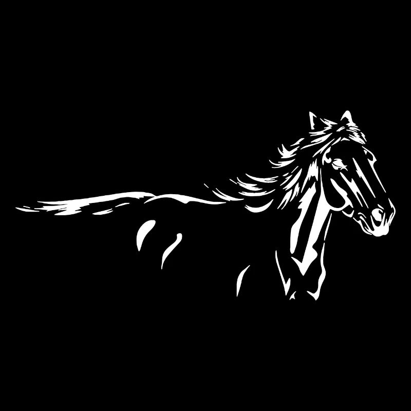 Pferde Wildpferd Tier Silhouette