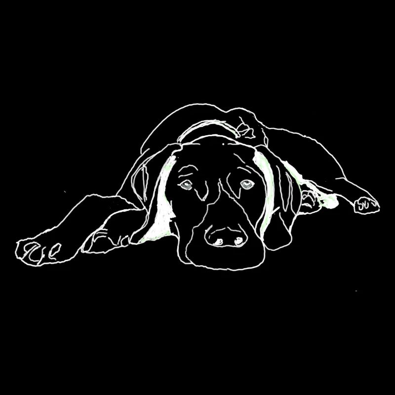 Pointer German Shorthair