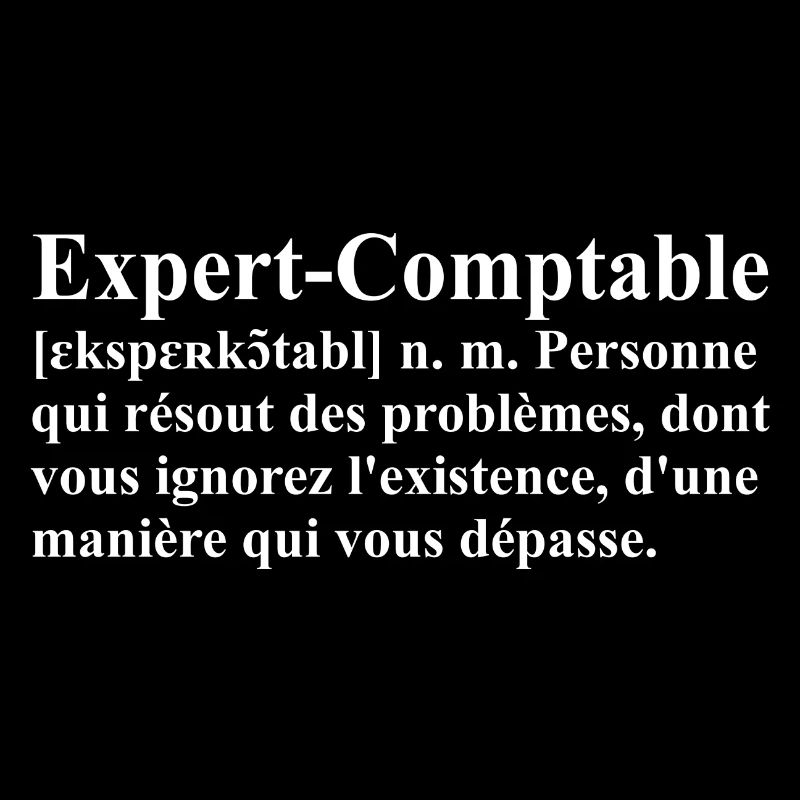 Expert-Comptable Définition