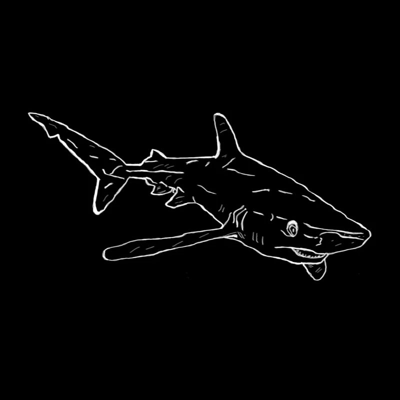 Shark