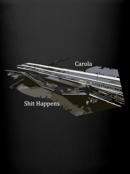 Carola Bridge Collapse