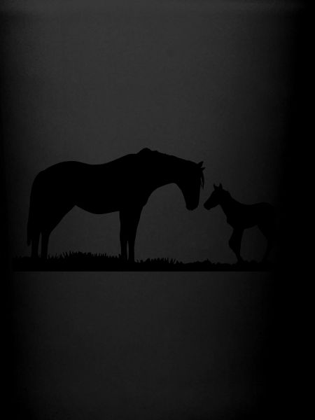 chevaux