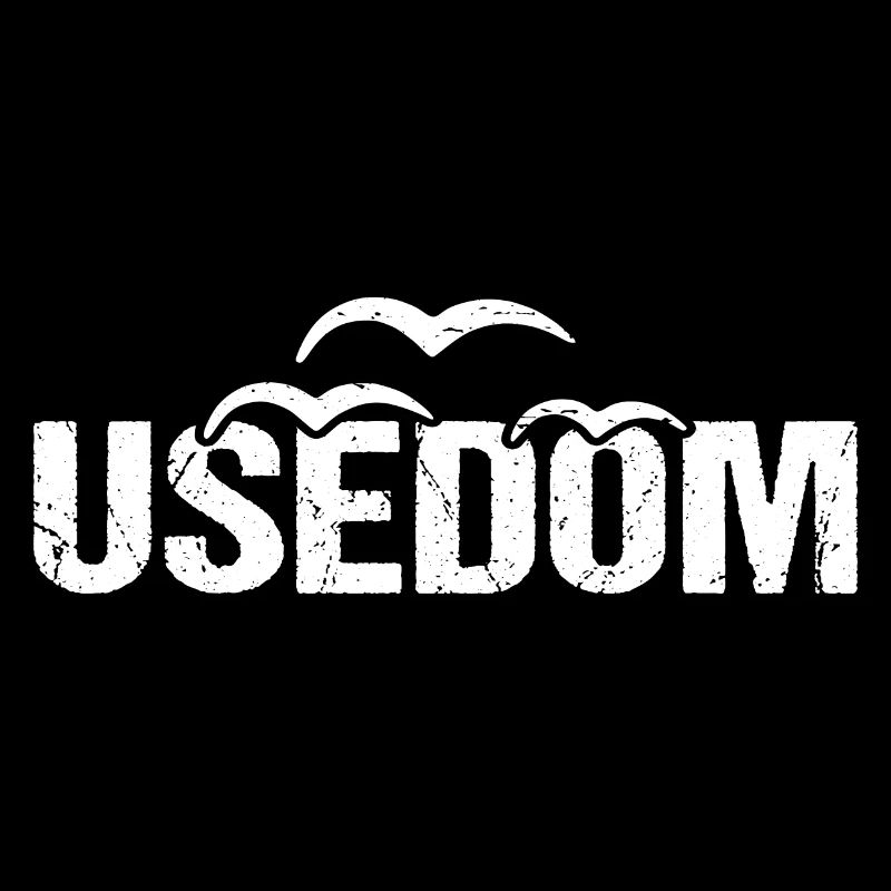 Usedom Ostsee Insel Möwen