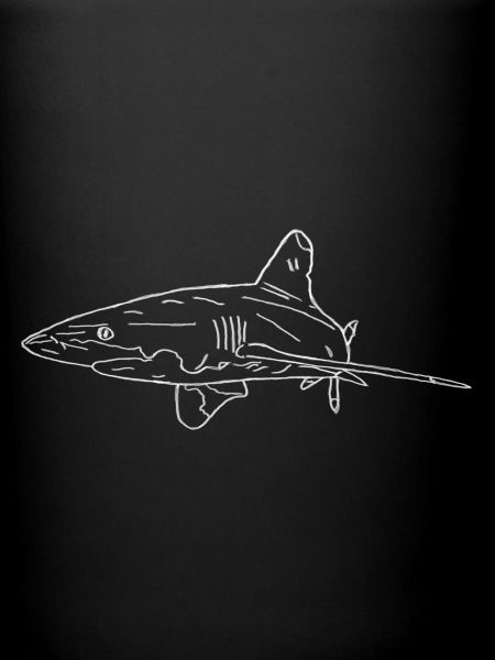 Requin