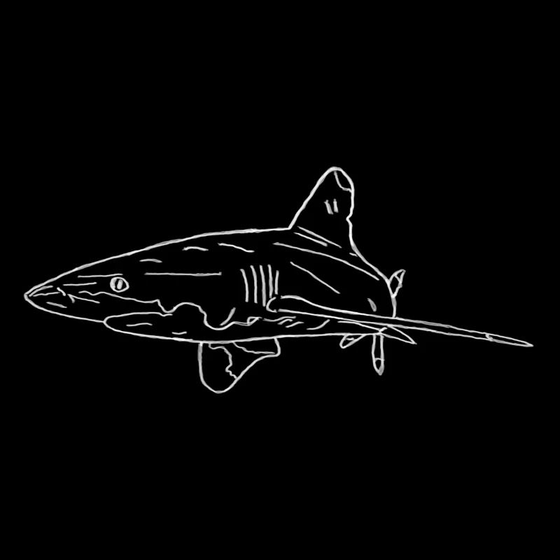 Shark