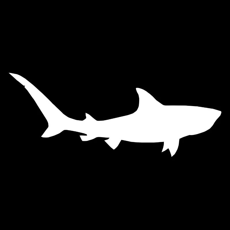 Requin tigre