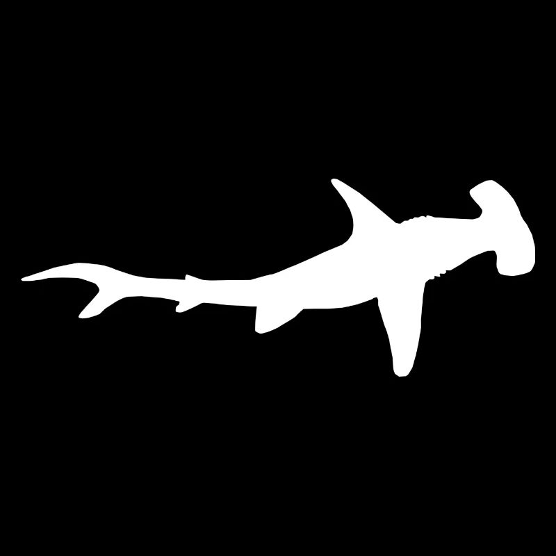 Hammerhead